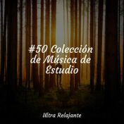 #50 Colección de Música de Estudio