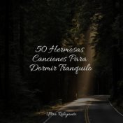 50 Hermosas Canciones Para Dormir Tranquilo