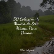 50 Colección de Música de Spa: Música Para Dormir