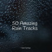 50 Amazing Rain Tracks