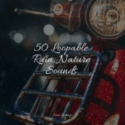 50 Loopable Rain, Nature Sounds
