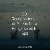 50 Recopilaciones de Sueño Para Relajarse en El Spa