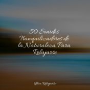 50 Sonidos Tranquilizadores de la Naturaleza Para Relajarse