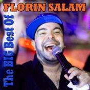 The Big Best of Florin Salam
