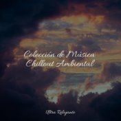 Colección de Música Chillout Ambiental