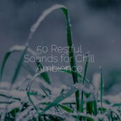 50 Restful Sounds for Chill Ambience