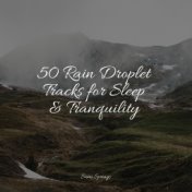 50 Rain Droplet Tracks for Sleep & Tranquility