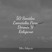 50 Sonidos Esenciales Para Dormir Y Relajarse