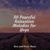 50 Peaceful Relaxation Melodies for Yoga