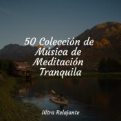 50 Colección de Música de Meditación Tranquila