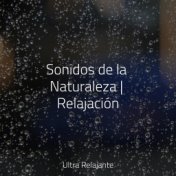 Sonidos de la Naturaleza | Relajación