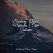 Soothing Nature Melodies | Chill Ambience