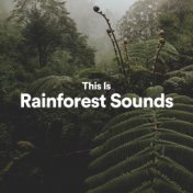 This Is Rainforest Sounds