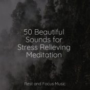 50 Beautiful Sounds for Stress Relieving Meditation