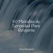 50 Melodías de Serenidad Para Relajarse