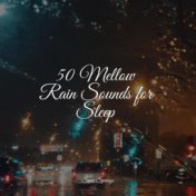 50 Mellow Rain Sounds for Sleep