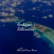 Ambience | Relaxation