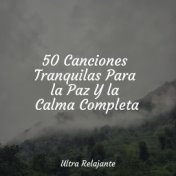 50 Canciones Tranquilas Para la Paz Y la Calma Completa