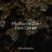 Meditación Zen Para Dormir