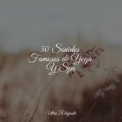 50 Sonidos Famosos de Yoga Y Spa