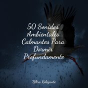 50 Hermosos Sonidos Para Dormir Y Relajarse