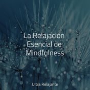 La Relajación Esencial de Mindfulness