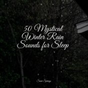 50 Mystical Winter Rain Sounds for Sleep