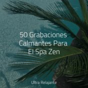 50 Grabaciones Calmantes Para El Spa Zen