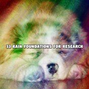 33 Rain Foundations For Research