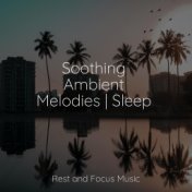 Soothing Ambient Melodies | Sleep