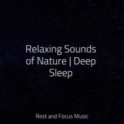 Relaxing Sounds of Nature | Deep Sleep