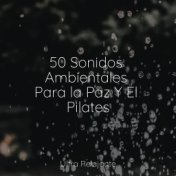 50 Sonidos Ambientales Para la Paz Y El Pilates