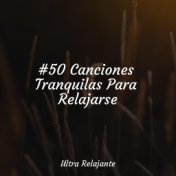 #50 Canciones Tranquilas Para Relajarse