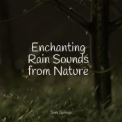 Enchanting Rain Sounds from Nature