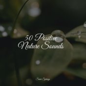 50 Positive Nature Sounds