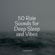 50 Rain Sounds for Deep Sleep and Vibes
