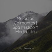 Melodías Calmantes | Spa Místico Y Meditación