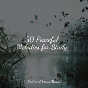 50 Peaceful Melodies for Study