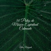 50 Pistas de Música Espiritual Calmante