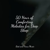 50 Hour of Comforting Melodies for Deep Sleep