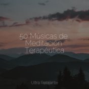 50 Músicas de Meditación Terapéutica