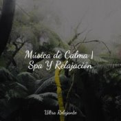 Música de Calma | Spa Y Relajación