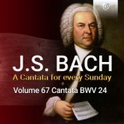 J.S. Bach: Ein ungefärbt Gemüte, BWV 24