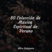 50 Colección de Música Espiritual de Verano