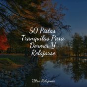 50 Pistas Tranquilas Para Dormir Y Relajarse