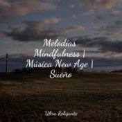 Melodías Mindfulness | Música New Age | Sueño