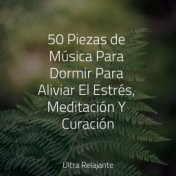 50 Piezas de Música Para Dormir Para Aliviar El Estrés, Meditación Y Curación