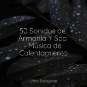 50 Sonidos de Armonía Y Spa - Música de Calentamiento