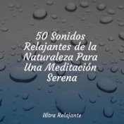 50 Sonidos Relajantes de la Naturaleza Para Una Meditación Serena