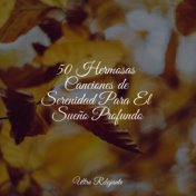 50 Hermosas Canciones de Serenidad Para El Sueño Profundo